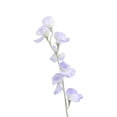 thumbnail image 2 of 4 Colors Flocked Sweet Pea Artificial Flowers, Realistic Faux Silk Floral Stalks Bouquet, Premium Fake Flower for Home Wedding Table Centerpiece Photography Props Vase Arrangement Home Decoration, 2 of 6