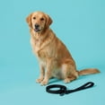 thumbnail image 2 of Vibrant Life 6' Anti-Shock Comfort Leash, Black, 2 of 10