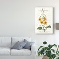 thumbnail image 3 of Trademark Fine Art 'Flower Garden Varietals V' Canvas Art by Vision Studio, 3 of 4