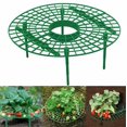 thumbnail image 5 of Paquete de soportes de fresa para jardín, soporte de planta de fresa, soporte de fresa, bastidores de fresa, marco de cultivo XianweiShao 9024715148162, 5 of 5