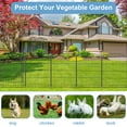 thumbnail image 6 of Garden Fence 6 Pack, 29.7in(H) x 11.7ft(L) Rustproof Decorative Fence Metal, Animal Barrier for Outdoor, Picket Fencing No-Dig for Yard (5 Panels+1 Gate), 6 of 8