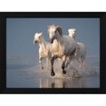 thumbnail image 2 of Rostovskiy Anton 14x12 Black Modern Wood Framed Wall Art Titled - Camargue Horses On Sunset, 2 of 6