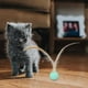 thumbnail image 1 of Pelota elástica para perros, juguete interactivo para masticar, pelotas de goma suave para gatos, pelota para hacer ejercicio, masticar, , Azul Colco Bolas de juguetes para masticar, 1 of 8