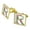 Gold, variant on Letter R Floral Monogram Initial Square Cufflink Set - Silver or Gold