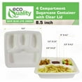thumbnail image 3 of 4 Compartment Compostable Food Storage Takeout Container with Clear Lids - Biodegradable, Sugarcane, Plant Fiber, Heavy Duty, Microwavable, Tree Free, Ecofriendly, Lunch Trays, Meal Prep, Bento (300), 3 of 7