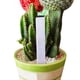 thumbnail image 5 of onlyliua ¡ ¡Promoción de Temporada! 100 Etiquetas para Macetas, Marcadores y Jardines, 10 Cm X 2 Cm, 5 of 7