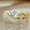 Gold, variant on Jewelry Zircon Diamond Rings European And American Angel Diamond Ring Jewelry Rings for Women Alloy Gold