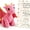 Pink Dragon Dolls Buddies, variant on Collector Emotional Support Dragon Pocket Buddy Mini Collectibles Plush, Dragon Plush Dolls Figures with Encouragement Card, Anxiety Relief Desk Decor Rare Fantasy Gift For Hobbyist Collectors