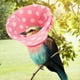 thumbnail image 4 of Collar de cono de loro Collar de pájaro anti-mordido Pet Wet Bird Collar de protección para el cuello de la parrilla, 4 of 8