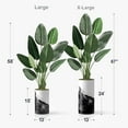thumbnail image 2 of Artificial Tree in Contemporary Planter, Fake Bird of Paradise Silk Tree for Indoor and Outdoor Home Decoration - 58" Overall Tall (Plant Pot Plus Tree), 2 of 5