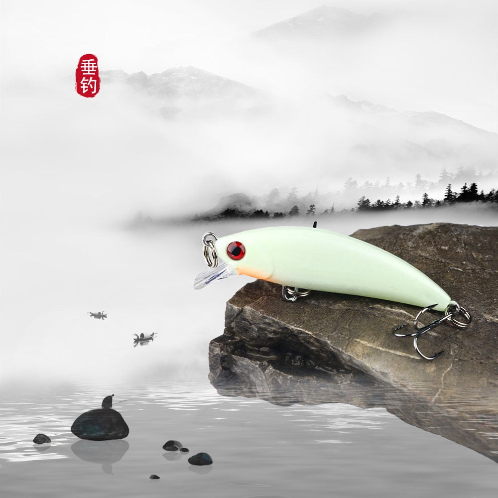 HENGJIA Fishing Lures Large Hard Bait Minnow VIB Lure with Treble Hook Life-Like Swimbait Fishing Bait Popper Crankbait Sinking Lure for Trout Bass Walleye Redfish, 10PCS
