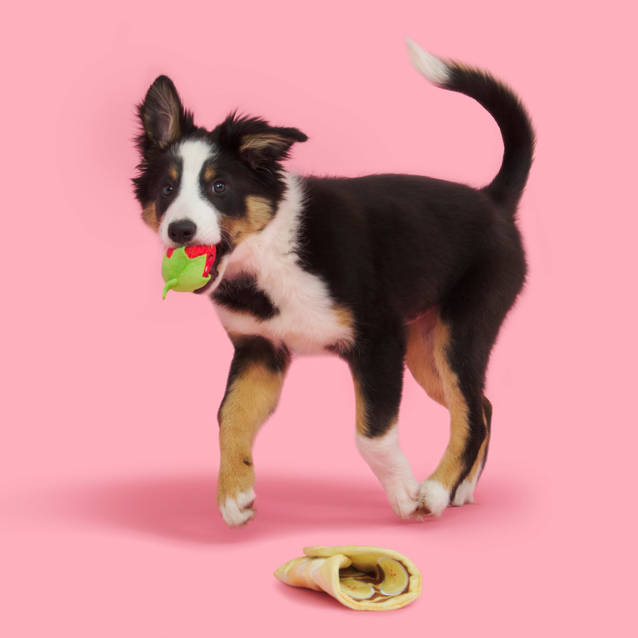BARK Wake N Crepe Dog Toy, Multi-color, Barkfest in Bed, For Extra Small to Small Dogs