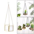thumbnail image 1 of Terrario geométrico colgante de terrario geométrico florero de flor aire contenedor oficina en casa decoración de boda dorado Macarena Terrarios colgantes, 1 of 8