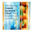 thumbnail image 3 of Glade Air Freshener COSTAL SUNSHINE CITRUS 8 Ounce Spray Cans (Pack Of 3), 3 of 4