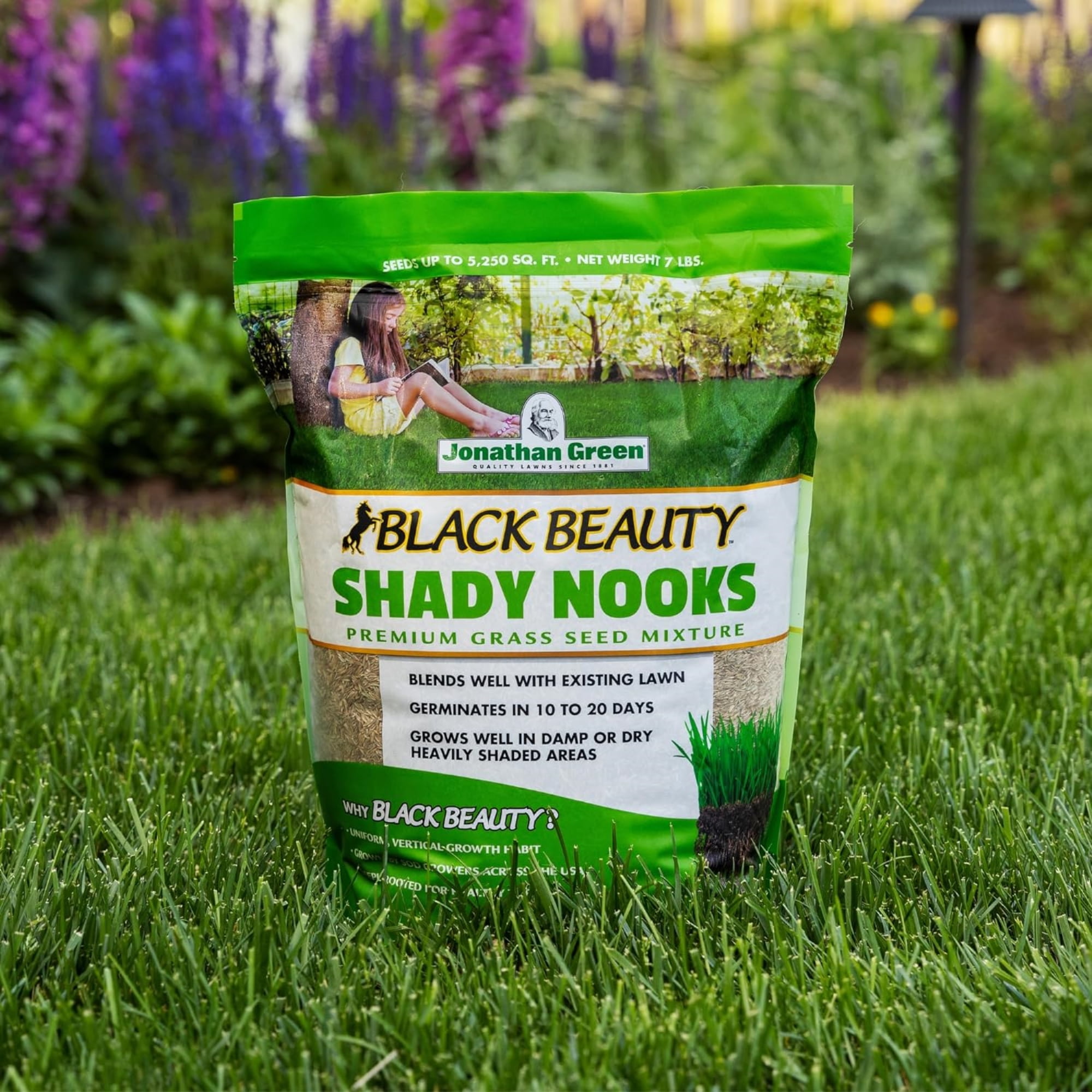 Jonathan Green (#11959) Black Beauty Shady Nooks Grass Seed - 7# bag