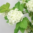 thumbnail image 3 of White Hydrangea Artificial Flowers, 31.1in Faux Hydrangea Bouquet with 5 Head, Silk Fake Flowers with Stems for Vase, Wedding Bouquet, Home Decor, DIY, Baby Shower, Centerpieces Decoration (1Pc), 3 of 6