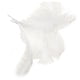thumbnail image 2 of 10 pcs Natural Ostrich Feathers Wedding Party Decoration White, 2 of 3