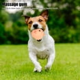 thumbnail image 4 of Pet Teething Stab Ball, Medium Anxiety Reduction Safe Pet Biting Stab Ball  For Balcony For Home, 4 of 8
