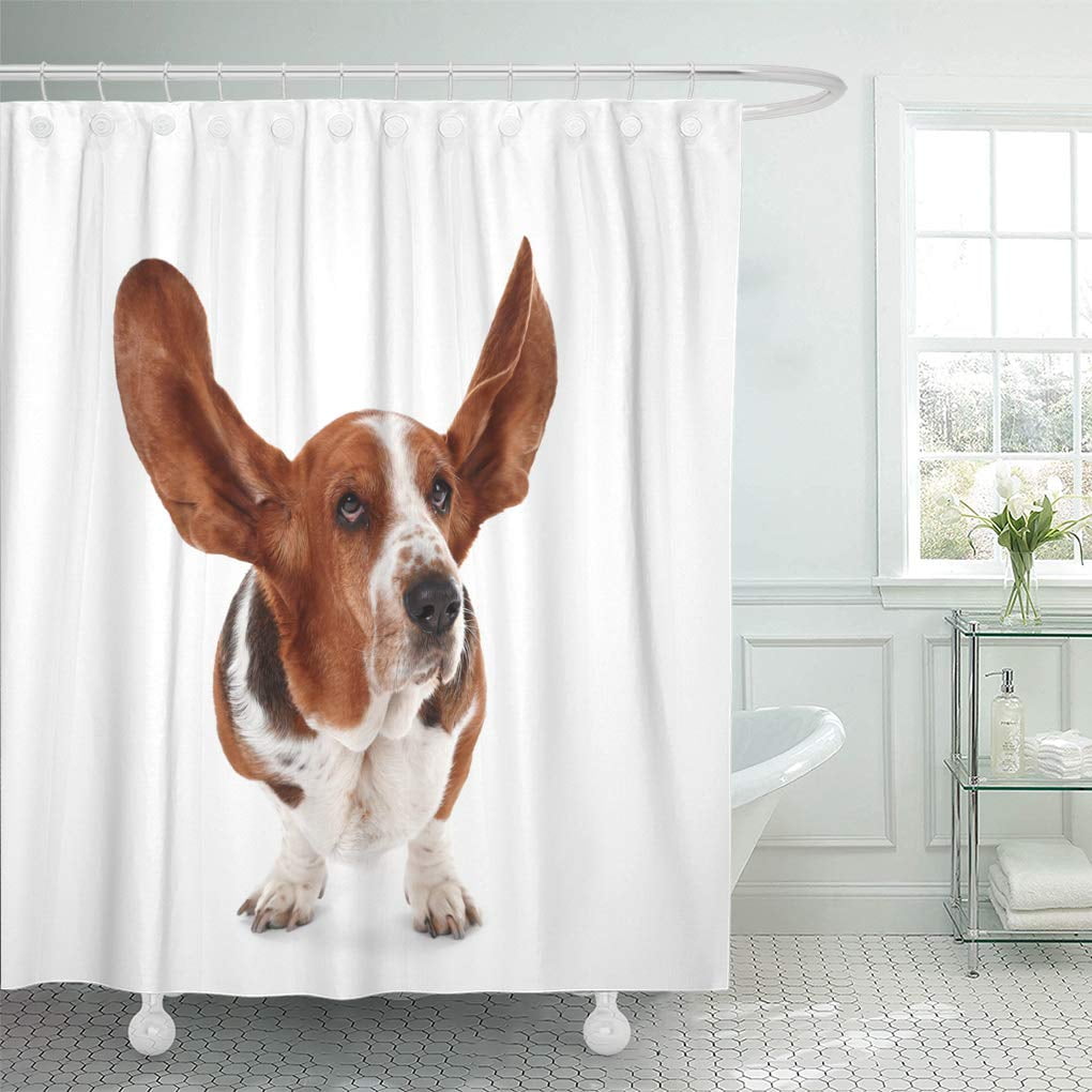 CYNLON Brown Cute Basset Hound Dog on Puppy Adorable Big Bathroom Decor Bath Shower Curtain