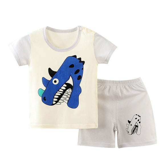 Swuxness Toddler Casual Short Sleeve 2 Piece Sets, Kids Summer Outfit Sets, Children's Summer Printing ComfortableShort Sleeve Round-Neck Blouses Sets for Kids Multicolor, 4-5 Years