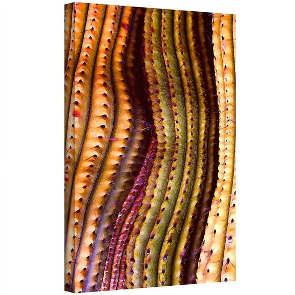 Dean Uhlinger "Tubos Trenzado" Gallery-Wrapped Canvas