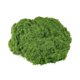 thumbnail image 3 of Plantas verdes artificiales de 100 g, musgo artificial, decoración para terrarios, hogar, decoración verde oscuro, 3 of 9