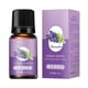 thumbnail image 2 of Pisexur Batería de cocina Aceite de masaje corporal de jengibre para limpiar meridianos de espalda (10 ml) para la cocina del hogar, 2 of 2