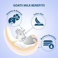 thumbnail image 6 of 2-Pack LoverCare Goat's Milk Body Lotion 27 fl oz (800ml) - Sensitive Skin - Unscented Fragrance-Free, 6 of 6