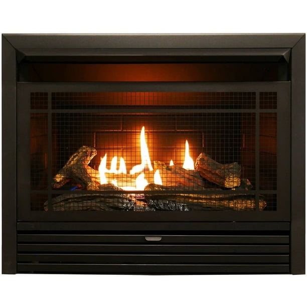 Duluth Forge Dual Fuel Ventless Gas, Gas Log Fireplace Insert With Remote Control