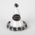 thumbnail image 3 of Pet Birthday Hat Decorative: 4PCS Pom Pom Paper Cat Party Hat Puppy Costume Cap, 3 of 7