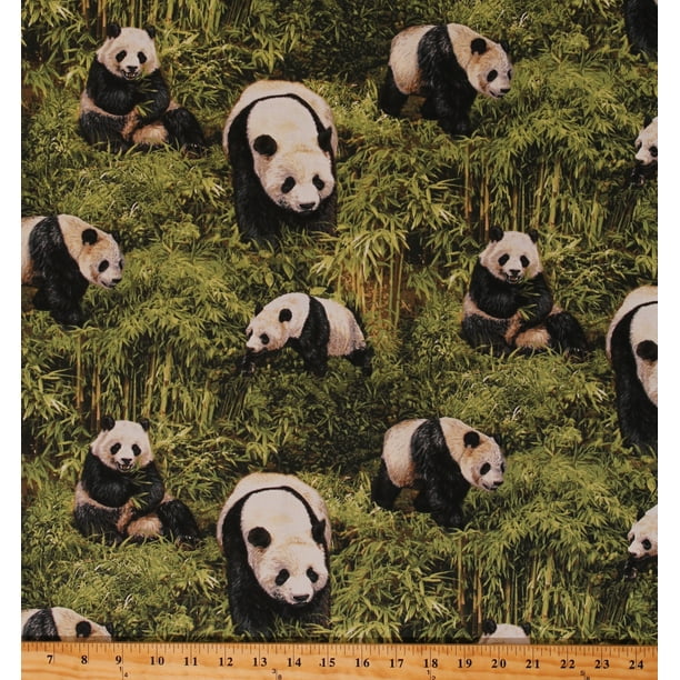 Cotton Panda Bear Pandas Animals Bamboo Jungle Nature Wildlife Born Free  Cotton Fabric Print by the Yard (112-31951) 