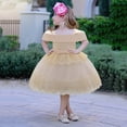 thumbnail image 2 of Summer Saving! Yievot Kids Girls Tulle Dress Pageant Gown Birthday Party Princess Wedding Dress Newborn Baby Girl Dresses 0-18 Months 2024 Summer Girls Dresses Clothes on Clearance, 2 of 7