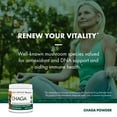 thumbnail image 4 of Host Defense Chaga Powder - 3.5 oz (66 Servings), 4 of 8