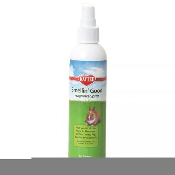SMELLIN GOOD SPRAY 6OZ 12