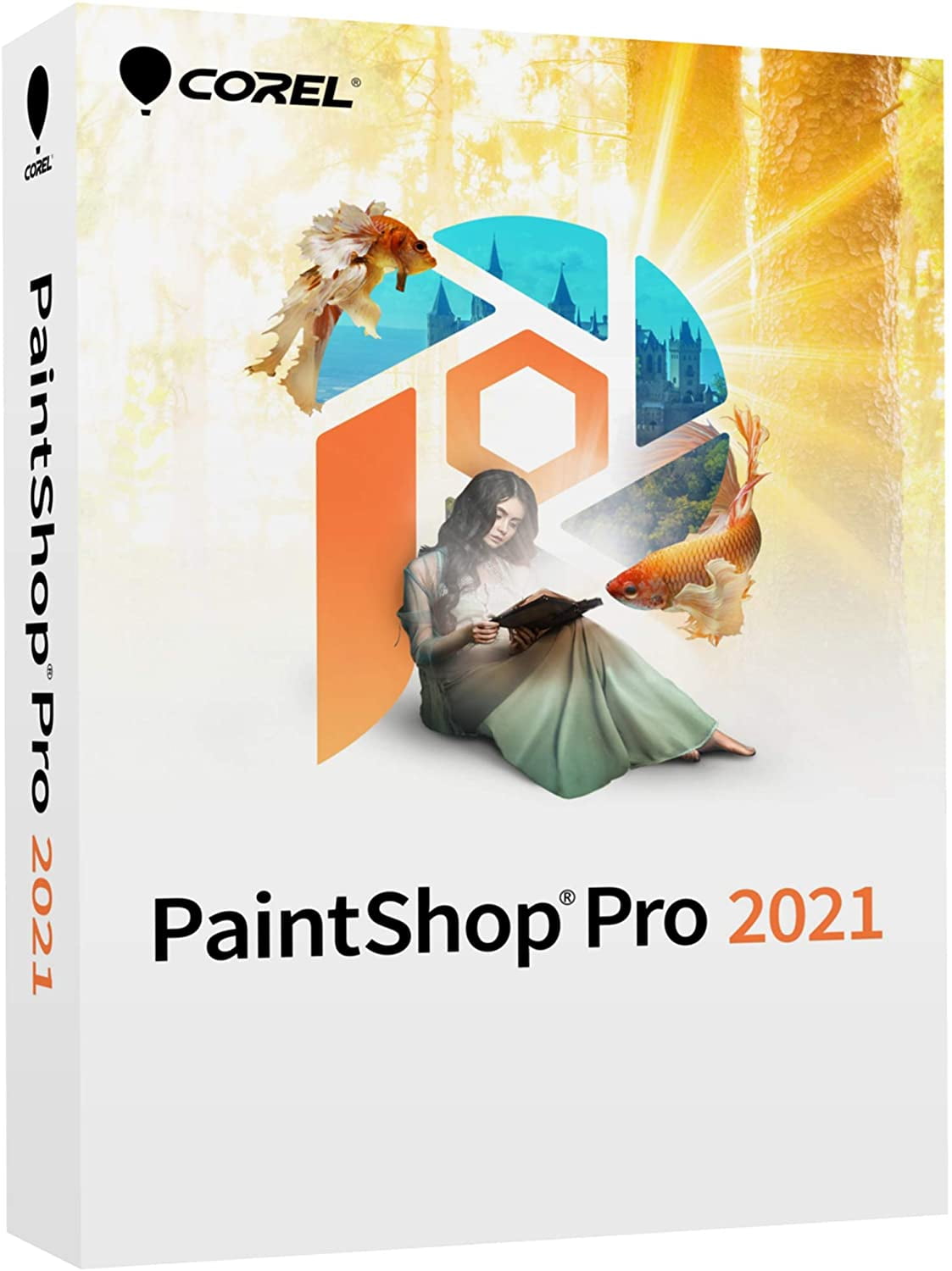 corel paintshop pro 2021 ultimate full corel paintshop pro 2021 ultimate full