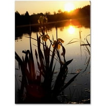 Trademark Fine Art "Reflective Strength" Canvas Art by Monica Fleet