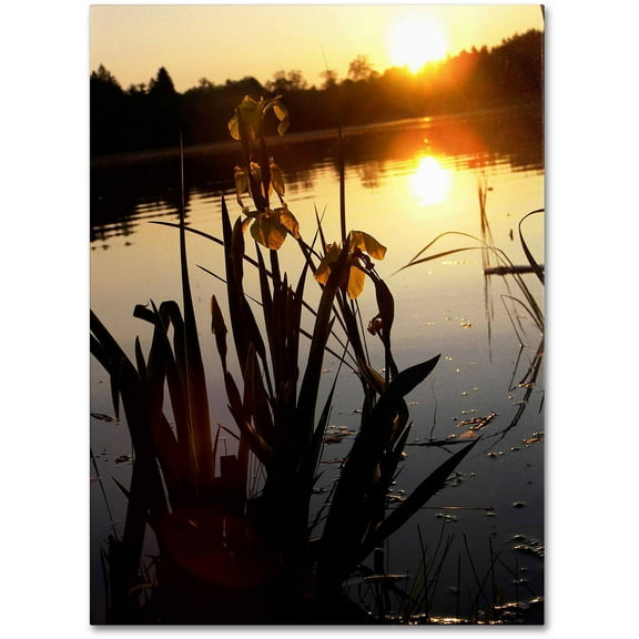 Trademark Fine Art "Reflective Strength" Canvas Art by Monica Fleet