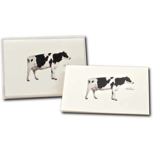 Holstein Billets en Boîte