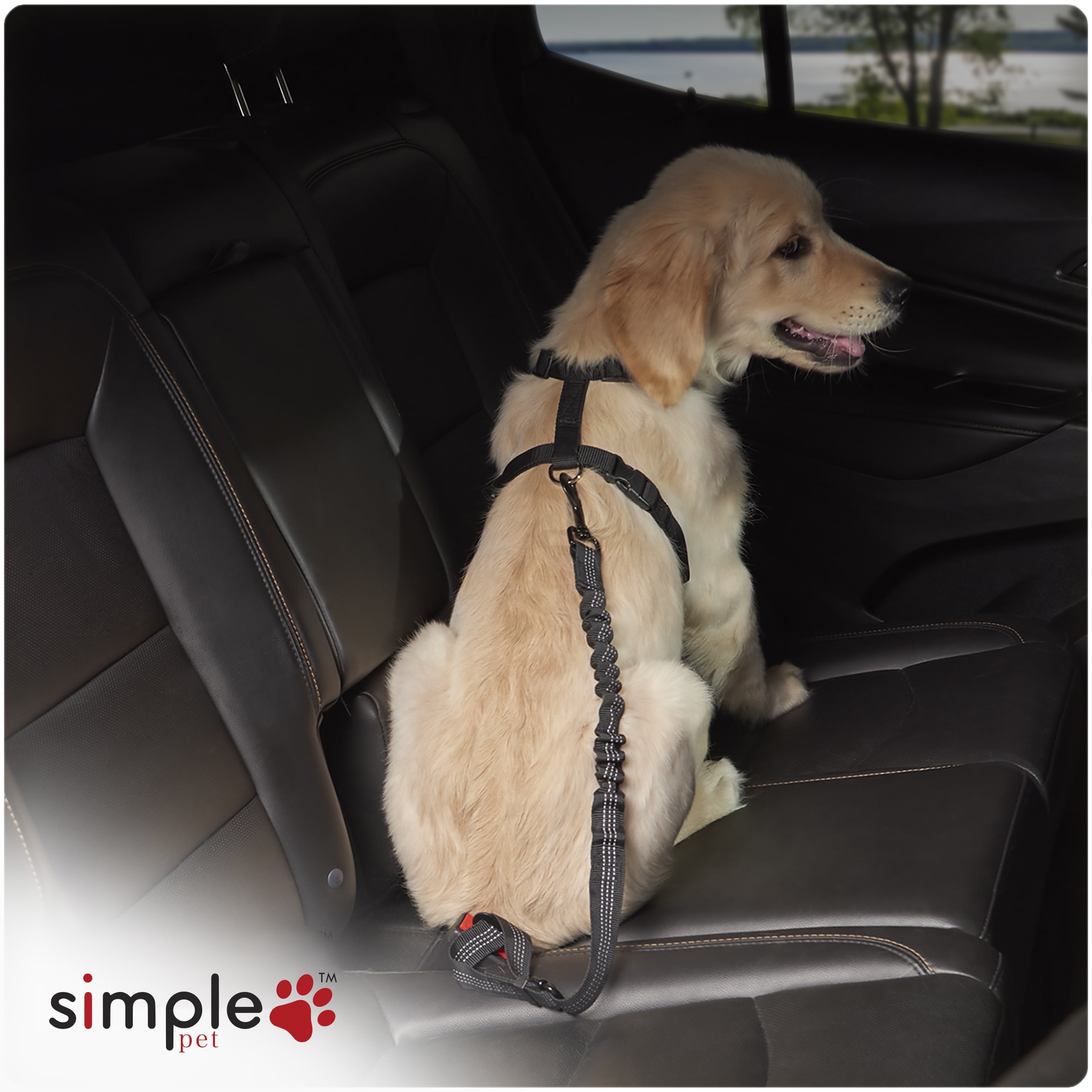 (3 pack) Simple Adjustable Pet Seat Belt, Black, Material - Nylon, Harness Type - Direct to Seatbelt Swivel Tether.