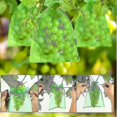thumbnail image 3 of 100pcs Bunch Bag 30x20cm / 10x15cm G fruta za Bag con cadena G total, 3 of 3
