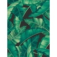thumbnail image 2 of Seven Trees Design 15x18 Black Ornate Wood Framed with Double Matting Museum Art Print Titled - Tropical Leaves II, 2 of 4