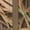 Mossy Oak Original Shadow Grass, variant on Drake Waterfowl Men's MST Waterproof Full-Zip Jacket with Hood