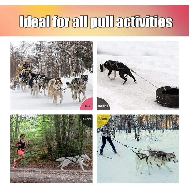 Dog harness best sale for pulling sled