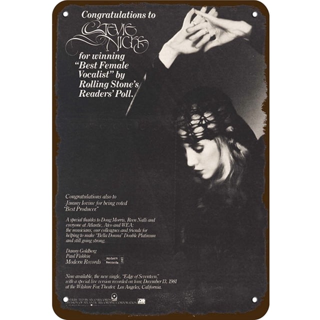 Placa Metal Vintage STEVIE NICKS Singer Pintura Hierro Rectangular 20x30cm