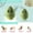 Green, variant on DUAIU Makeup Brushes 10PCS+4 Makeup Sponge Champagne Gold Professional Makeup Brush Sets Foundation Brush Powder Blush Concealers Eye Make up Brush Set