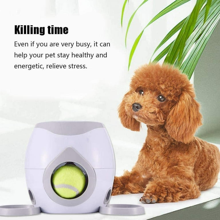 Dog Ball Toys for Small Medium Large Dogs Automatic Rolling Busy