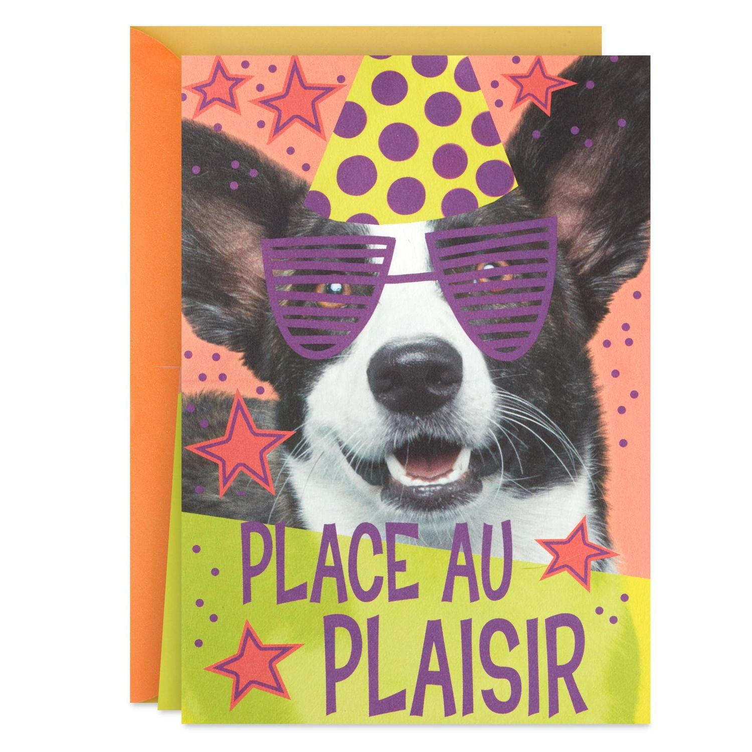 Carte de fête en relief – Hallmark (Chien de fête)