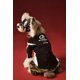 thumbnail image 4 of Ropa Para Perros Mascota Otoño, 4 of 6