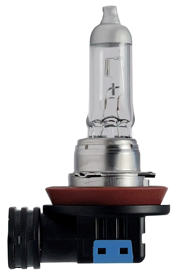 EverStart H11 Halogen Headlight Bulb, 1 pack, Compatible with Multiple Cars