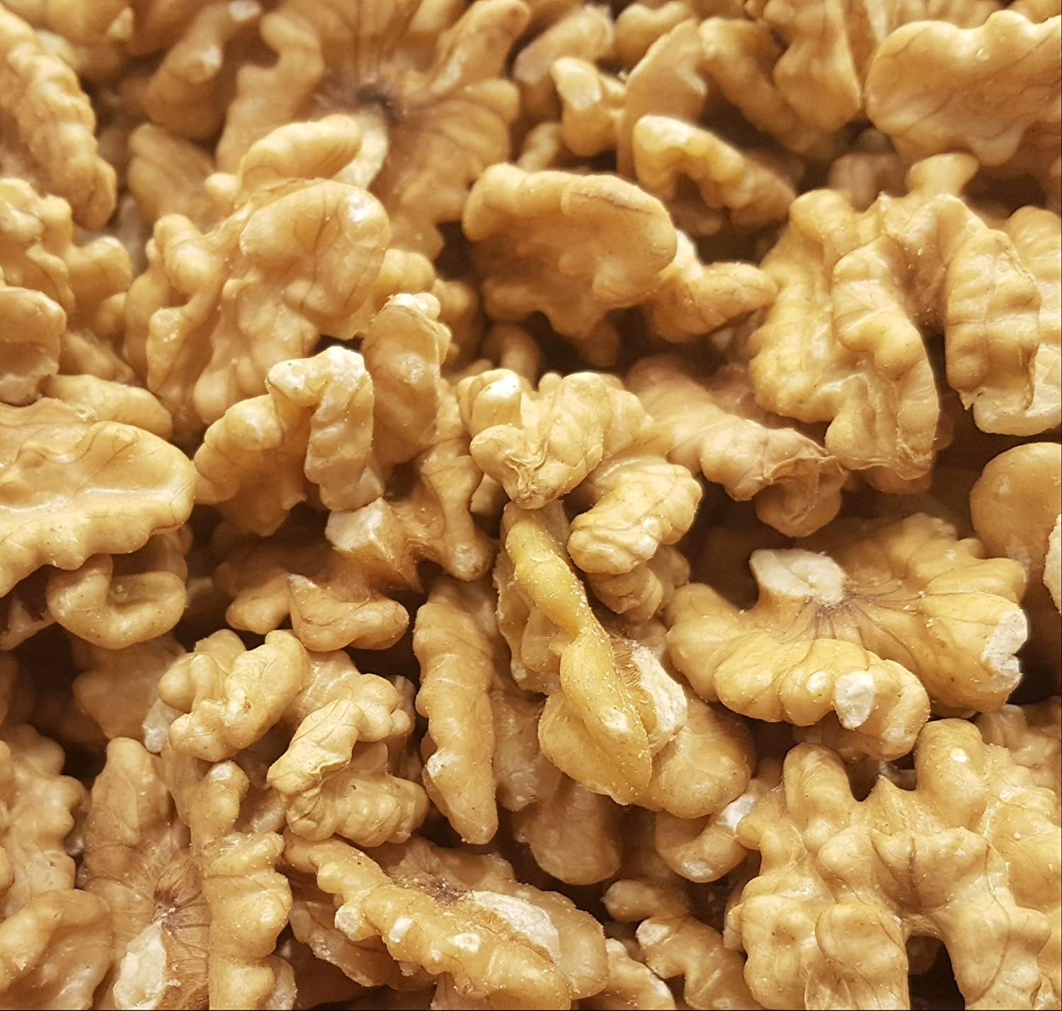 Premium Chandler Raw Walnuts Halves by Its Delish, 1 lb Bag Shelled